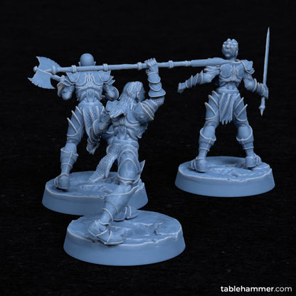 Hellgaters (fantasy infantry guard) | STL Files - Tablehammer