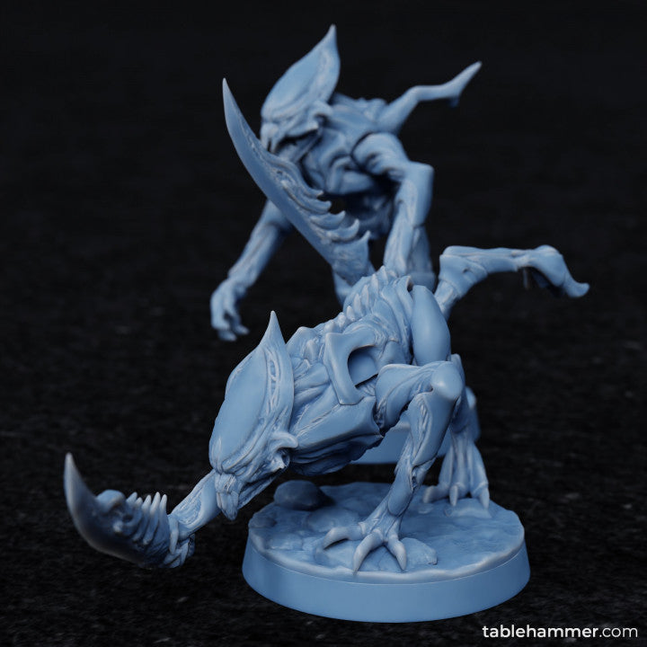 Voidborne Daemonids Sword bearers | STL Files - Tablehammer