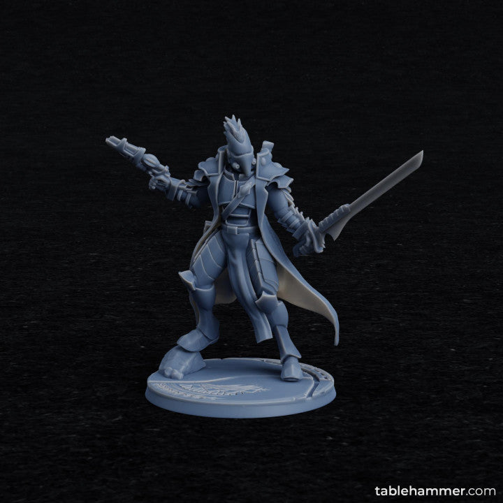 Rho'Beert - Space Elf Pirate Captain | STL Files - Tablehammer