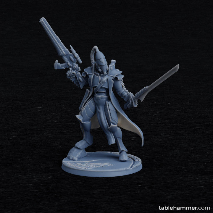 Rho'Beert - Space Elf Pirate Captain | STL Files - Tablehammer