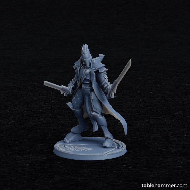 Rho'Beert - Space Elf Pirate Captain | STL Files - Tablehammer