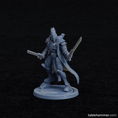 Rho'Beert - Space Elf Pirate Captain | STL Files - Tablehammer